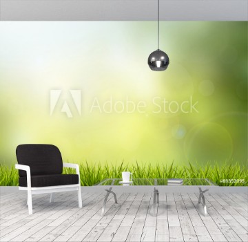 Picture of Grass and green nature blurred background